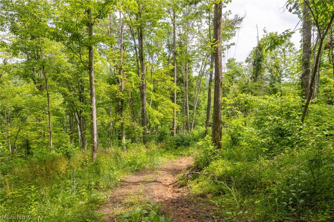 Kinnen Road Caldwell, OH 43724 - Photo 13 of 37