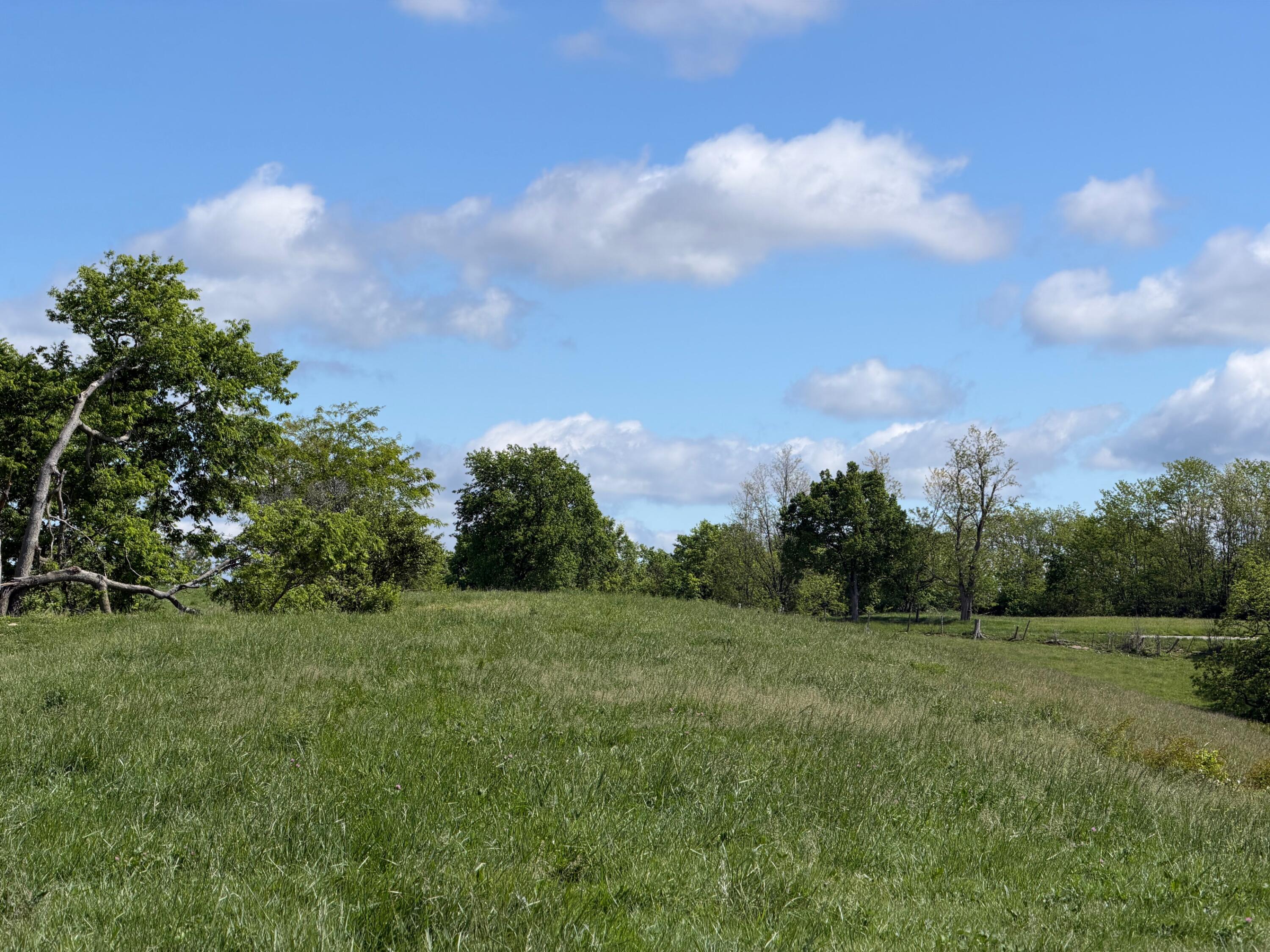 24.81-ac Chipman Ridge Road Williamstown, KY 41097 - Photo 14 of 17