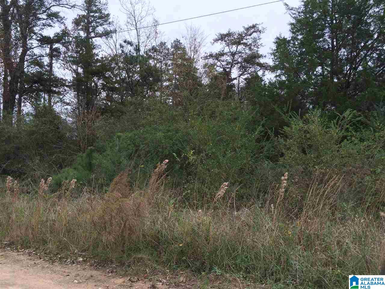 Posey Lane, Unit 11 Union Grove, AL 35175 - Photo 5 of 12