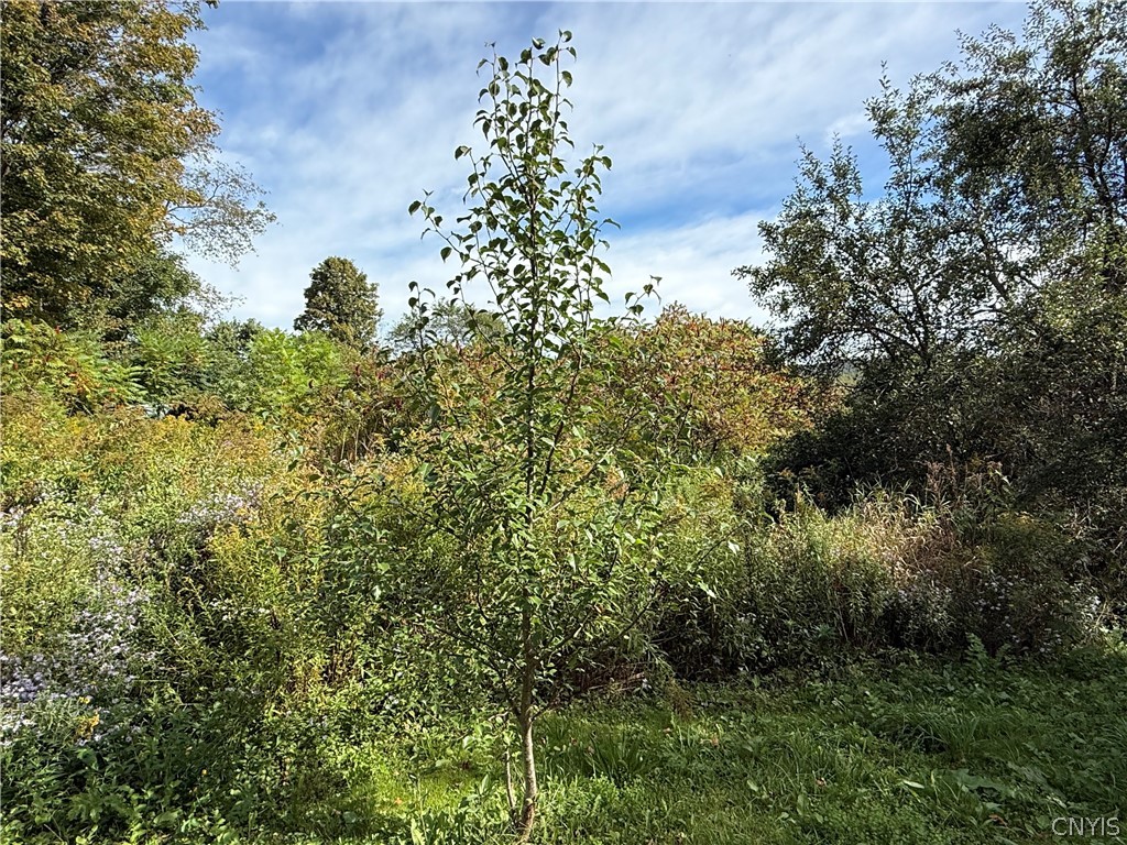 660 Lake Como Road Summerhill, NY 13045 - Photo 20 of 28 Gallery Image 20