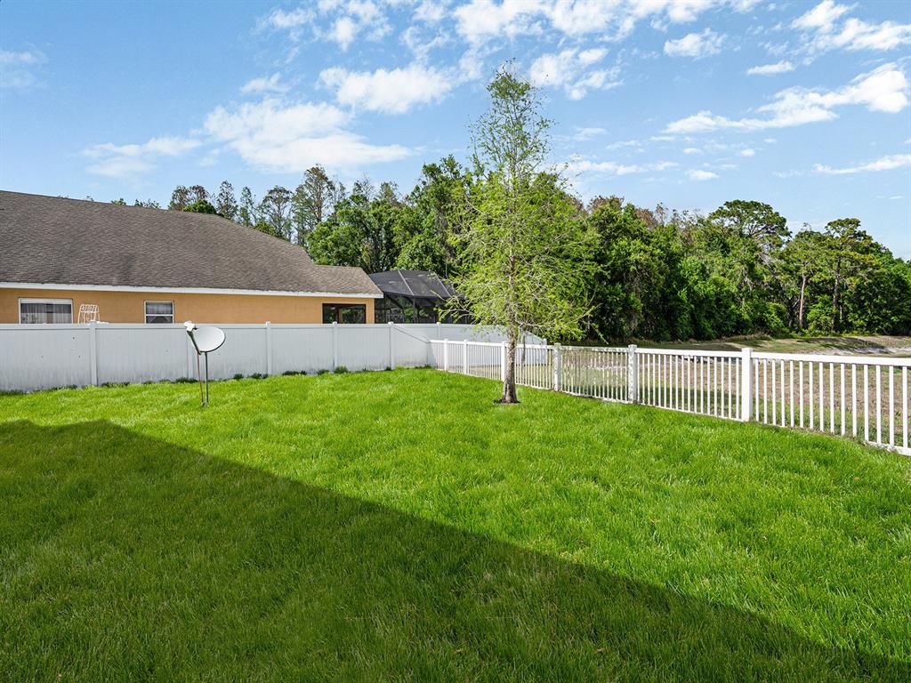 11713 Colony Lakes Boulevard New Port Richey, FL 34654 - Photo 31 of 38
