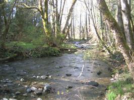 2490 Kincaid Road Williams, OR 97544 - Photo 1 of 5 Primary Photo