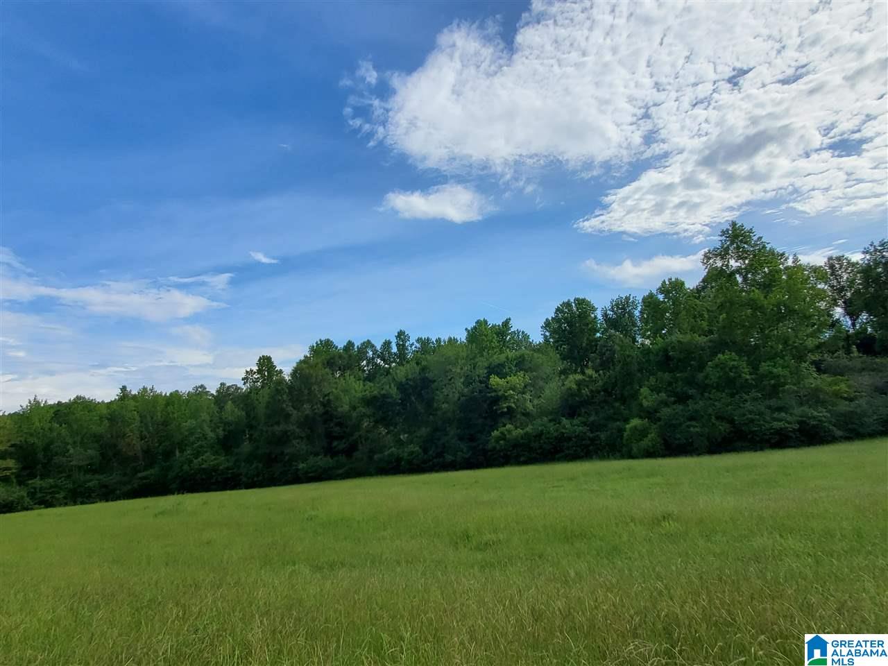 395 Hollow Branch Road Rockford, AL 35136 - Photo 12 of 26