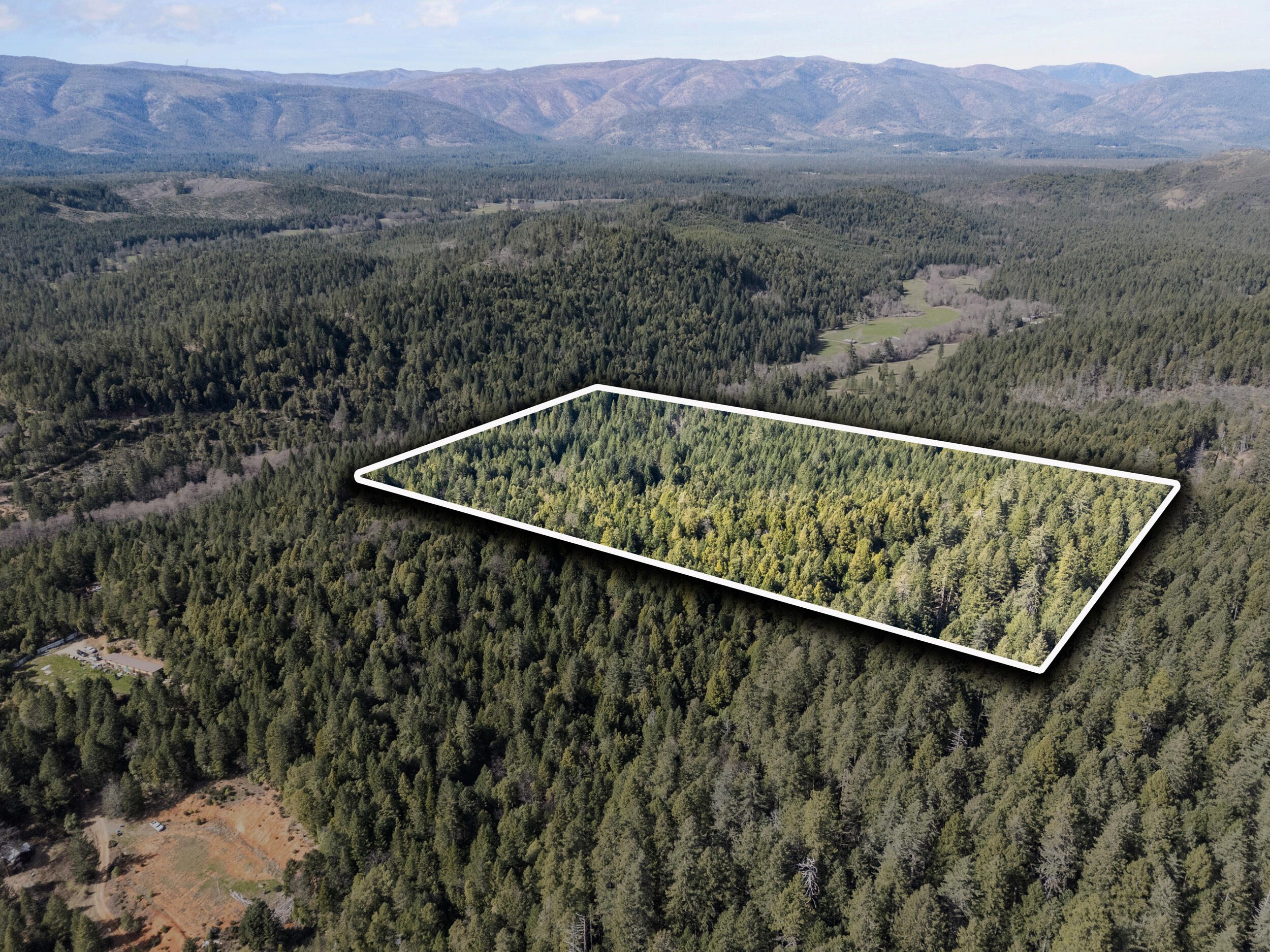 1259 Waldo Road Cave Junction, OR 97523 - Photo 5 of 46 42_1259 waldo rd - lotline 3
