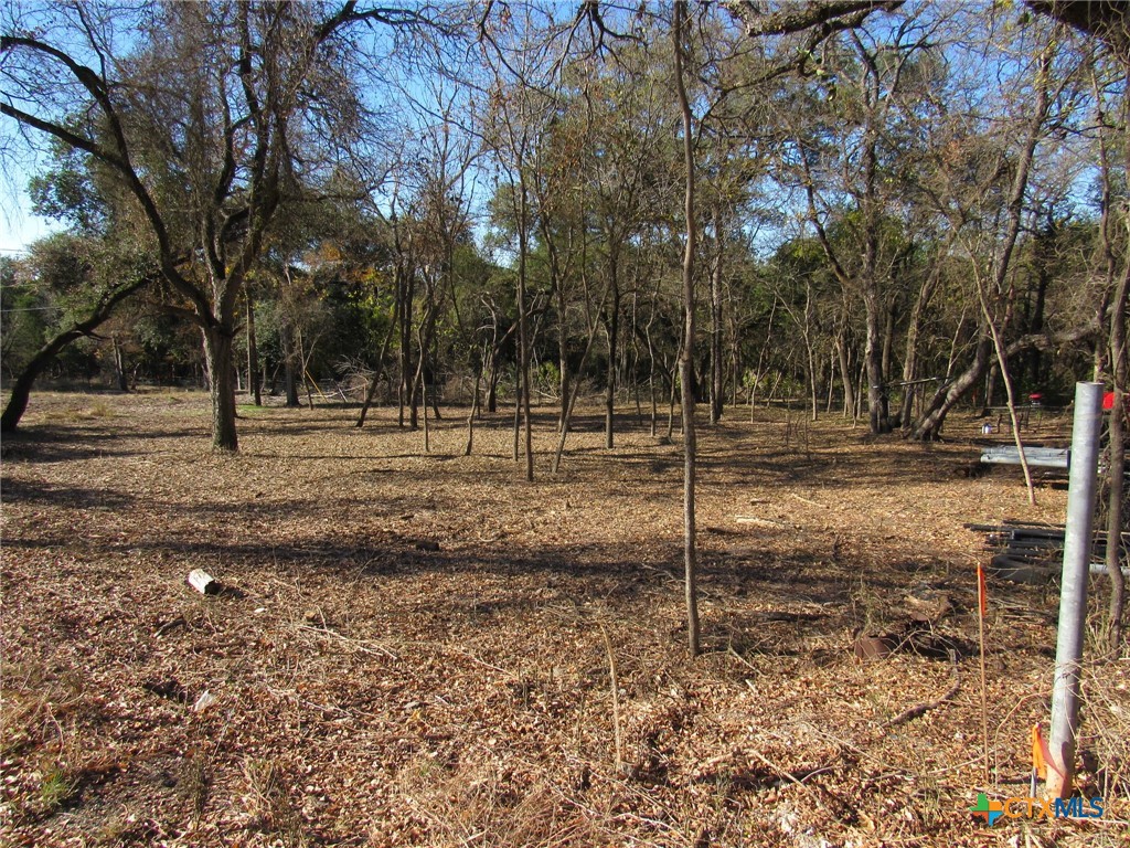 4232 Westview Drive Belton, TX 76513 - Photo 11 of 14 a view of a space with green space
