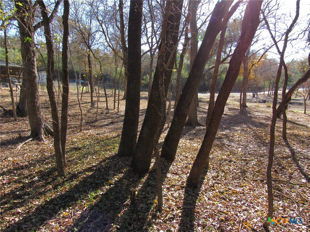 4232 Westview Drive Belton, TX 76513 - Photo 12 of 14 a view of a yard with large trees