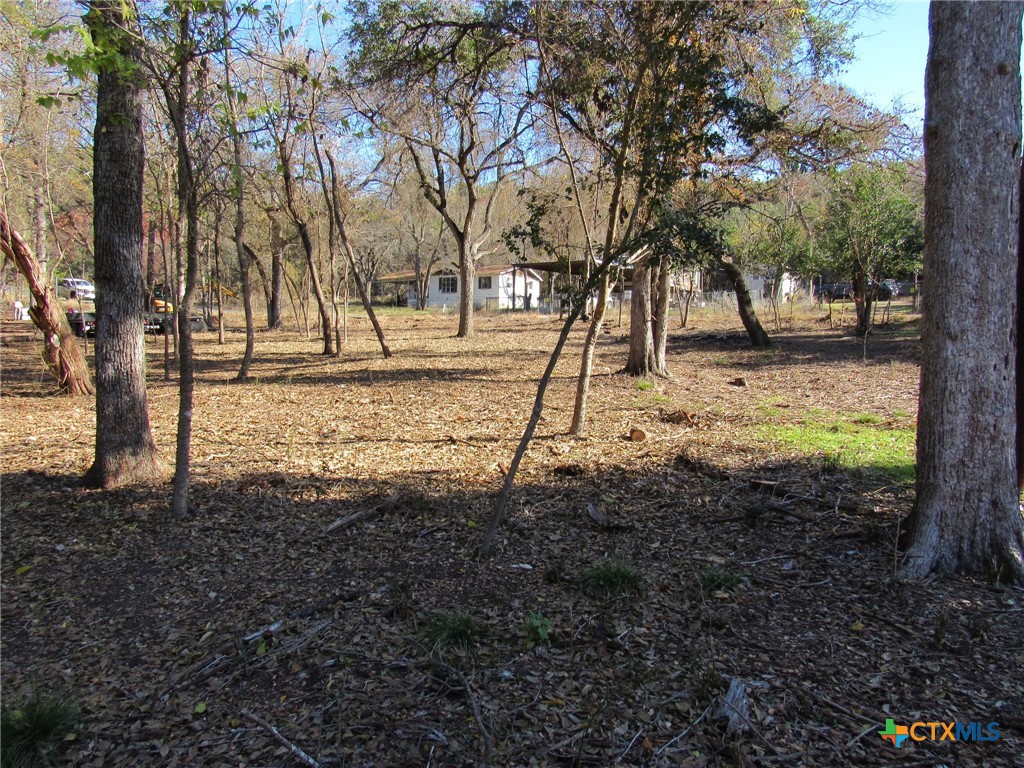 4232 Westview Drive Belton, TX 76513 - Photo 13 of 14 a view of a yard with trees