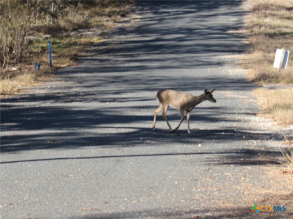 4232 Westview Drive Belton, TX 76513 - Photo 2 of 14 a view of entryway