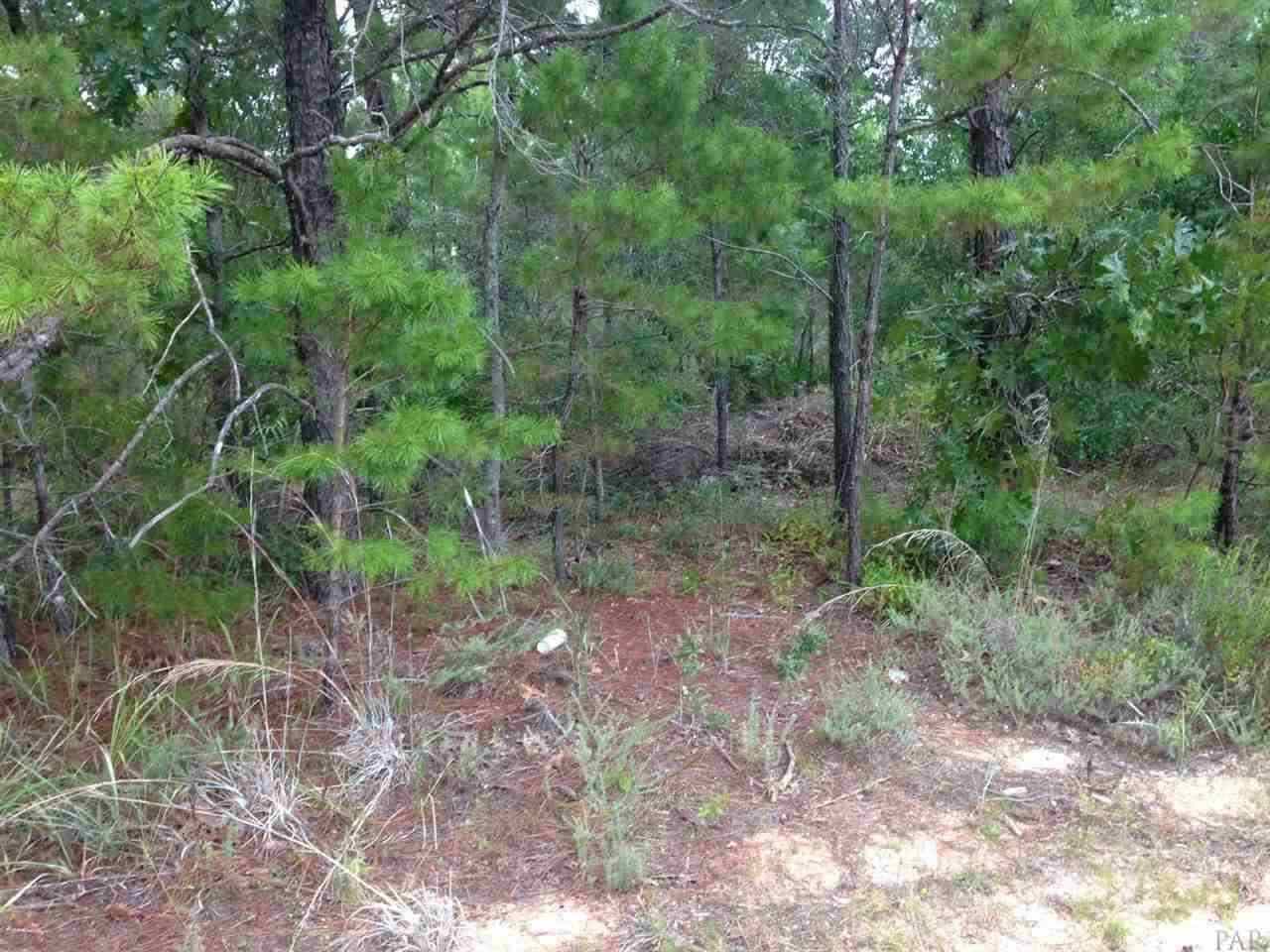 1-2 & Road Gulf Breeze, FL 32563 - Photo 4 of 11 Gallery Image 4