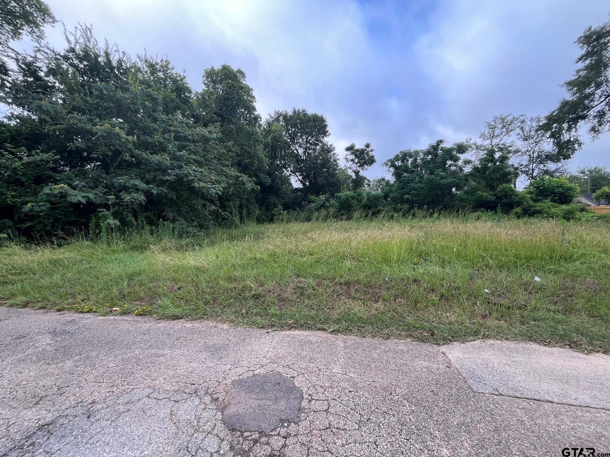 Lot 4 West Dobbs Tyler, TX 75701 - Photo 2 of 5