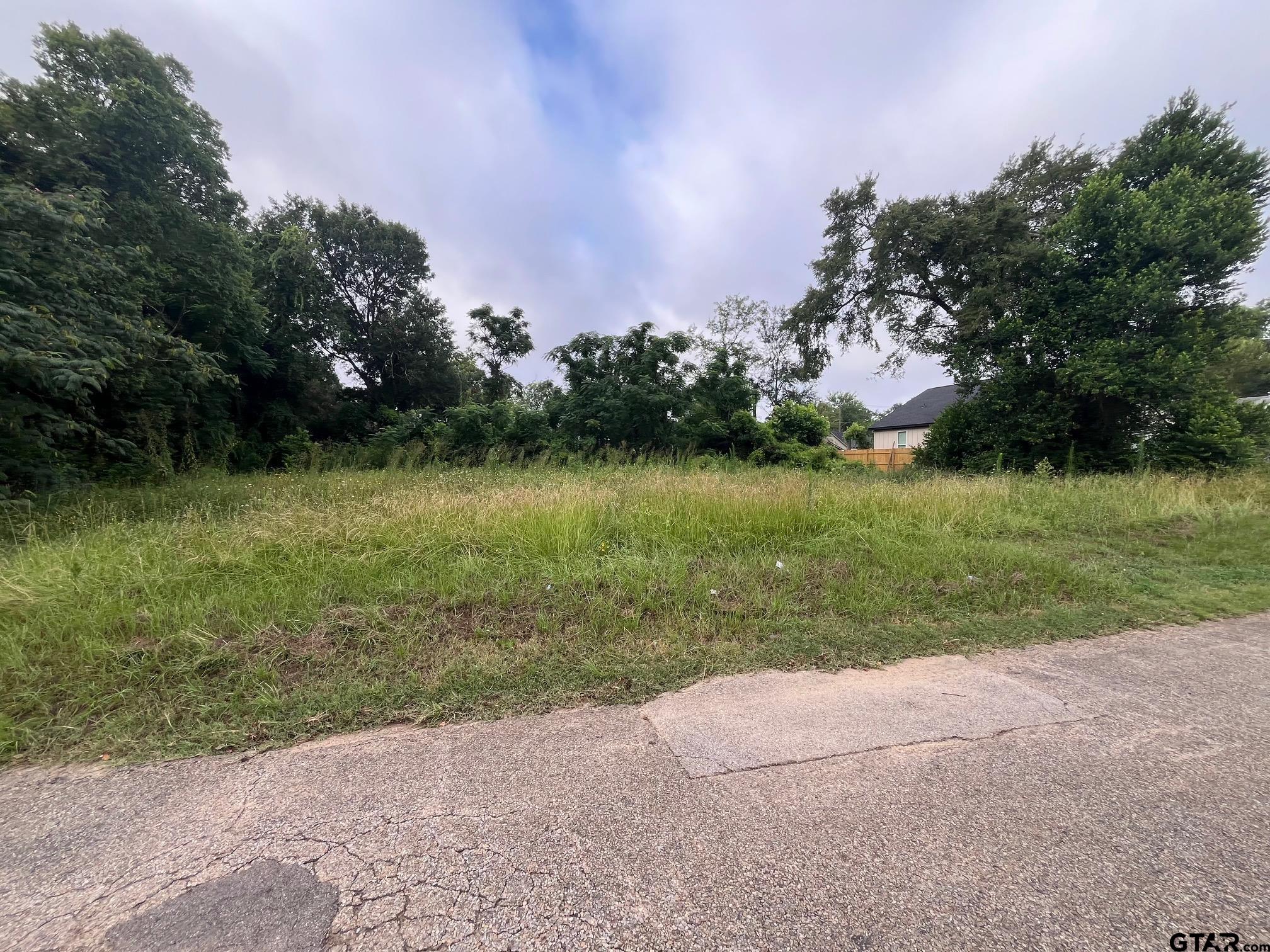 Lot 4 West Dobbs Tyler, TX 75701 - Photo 3 of 5