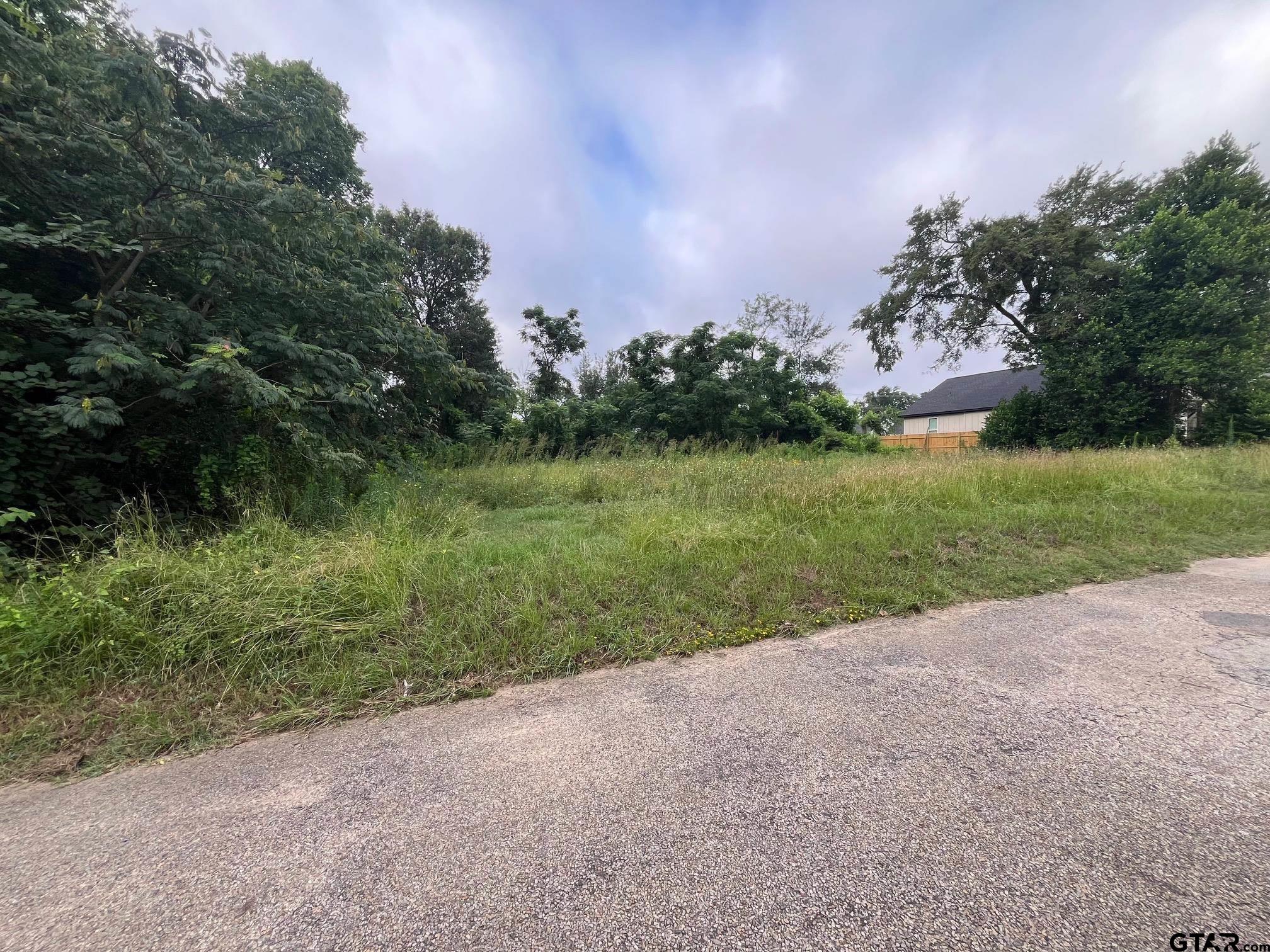Lot 4 West Dobbs Tyler, TX 75701 - Photo 4 of 5