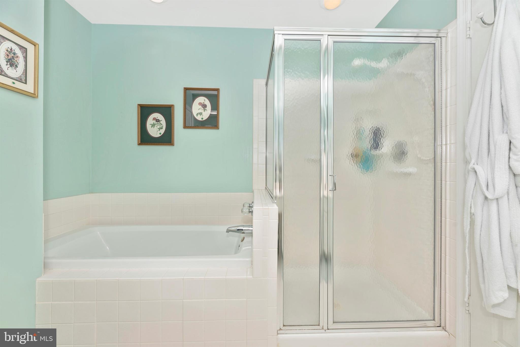 2389 Bear Den Road Frederick, MD 21701 - Photo 18 of 47 Shower and jacuzzi for your choice of relaxing.