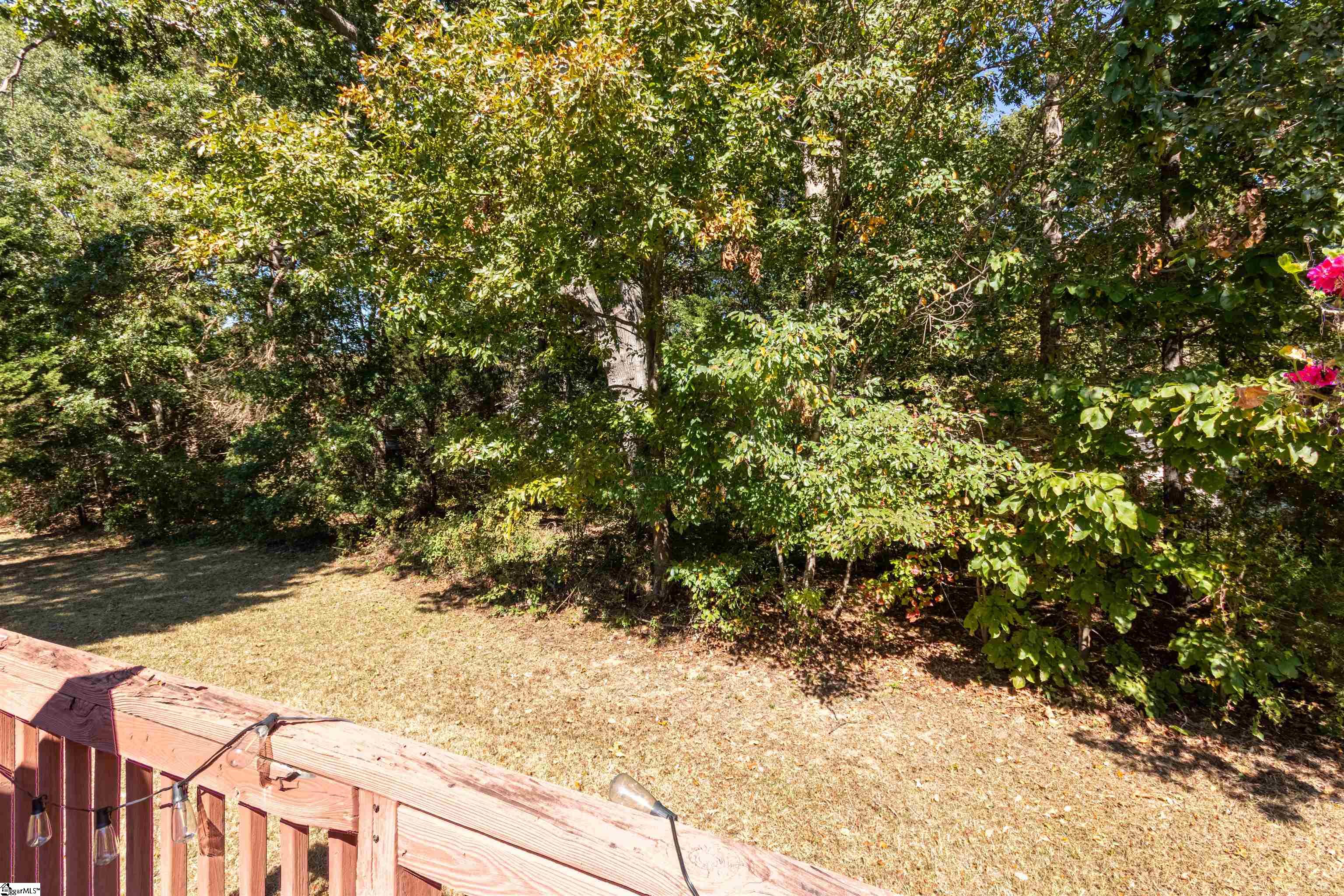 132 High Meadows Lane Greer, SC 29651 - Photo 19 of 20