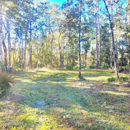 a view of a yard with a house in the background