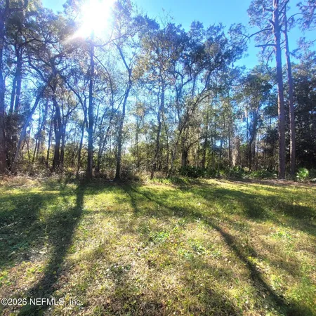 a view of a yard with large trees
