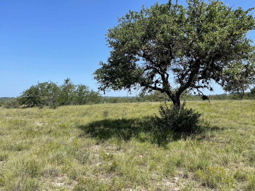 89 Summit Ridge Trail, Unit 89 Johnson City, TX 78636 - Photo 21 of 24 Gallery Image 21