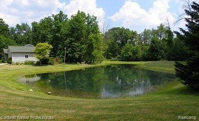 180 Gray Road Lapeer, MI 48446 - Photo 14 of 15 The Pond.jpg