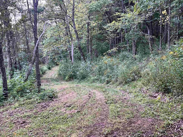 $995,000 | E5706 Park, Westby, WI 54667