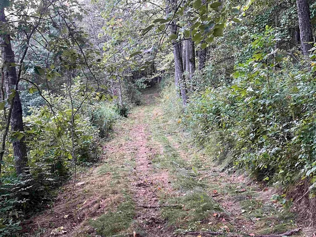 $995,000 | E5706 Park, Westby, WI 54667