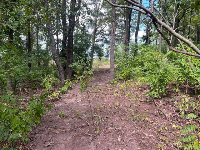 $995,000 | E5706 Park, Westby, WI 54667