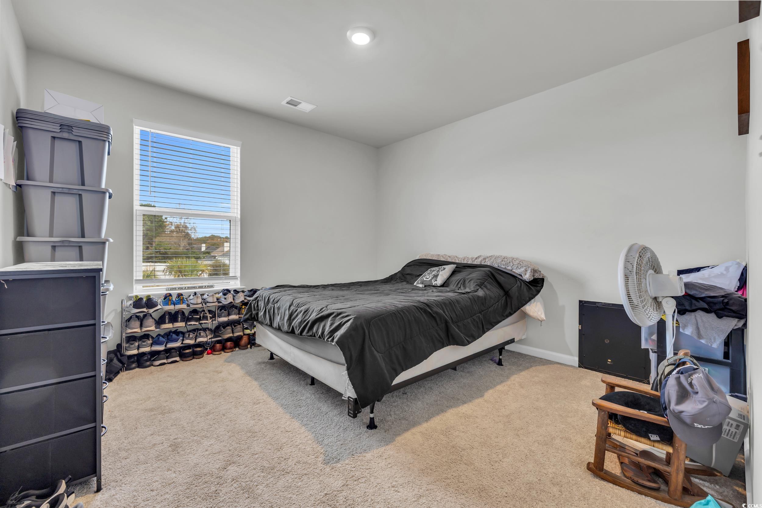 205 Black Pearl Way Myrtle Beach, SC 29588 - Photo 18 of 28 Bedroom with carpet flooring