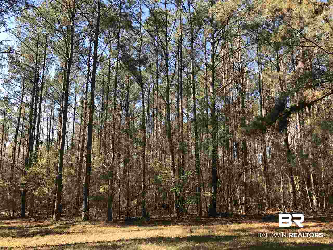 1478 Ridge Road Greenville, AL 36037 - Photo 28 of 50