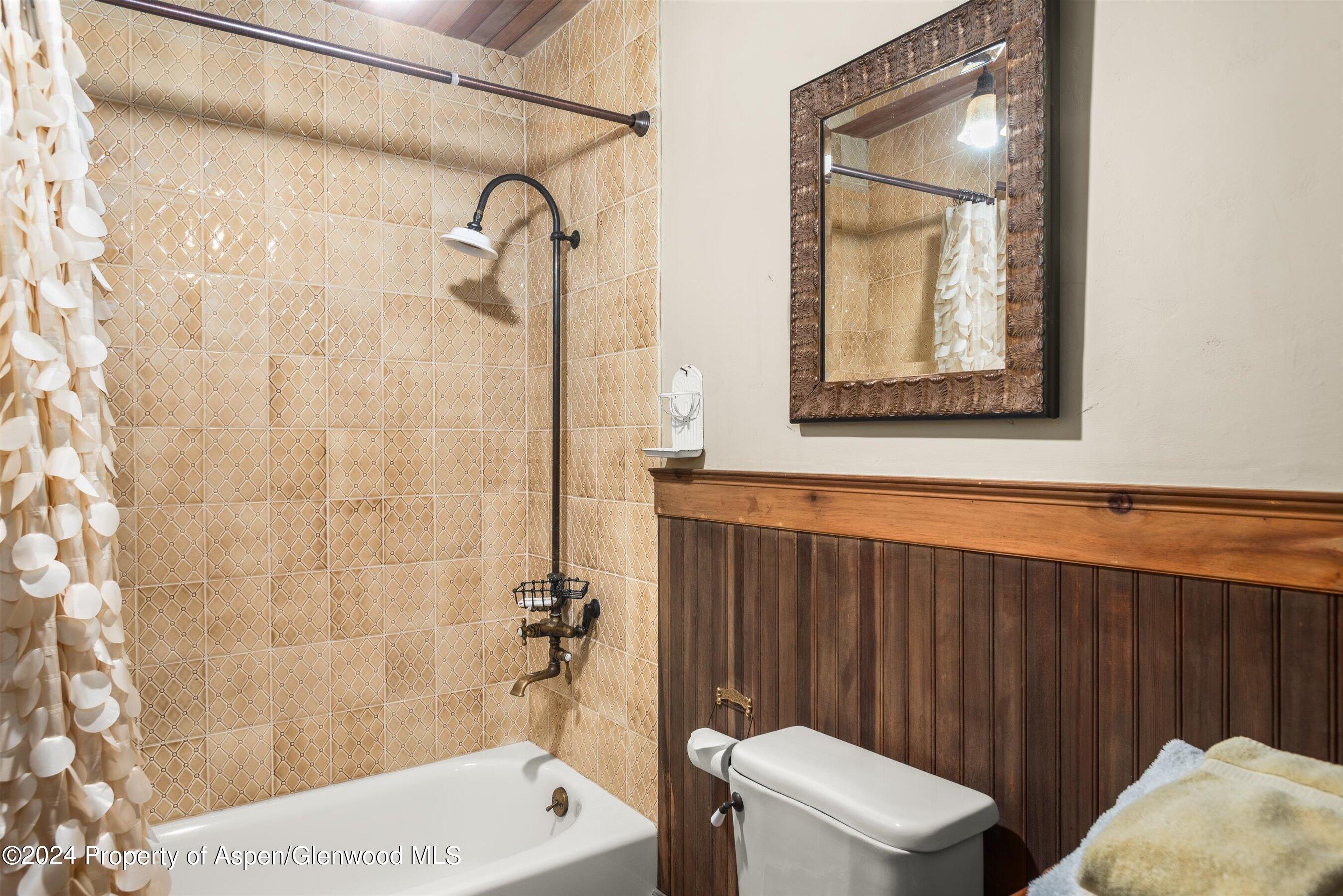 855 Moore Drive Aspen, CO 81611 - Photo 34 of 50 a bathroom with a sink a toilet and shower