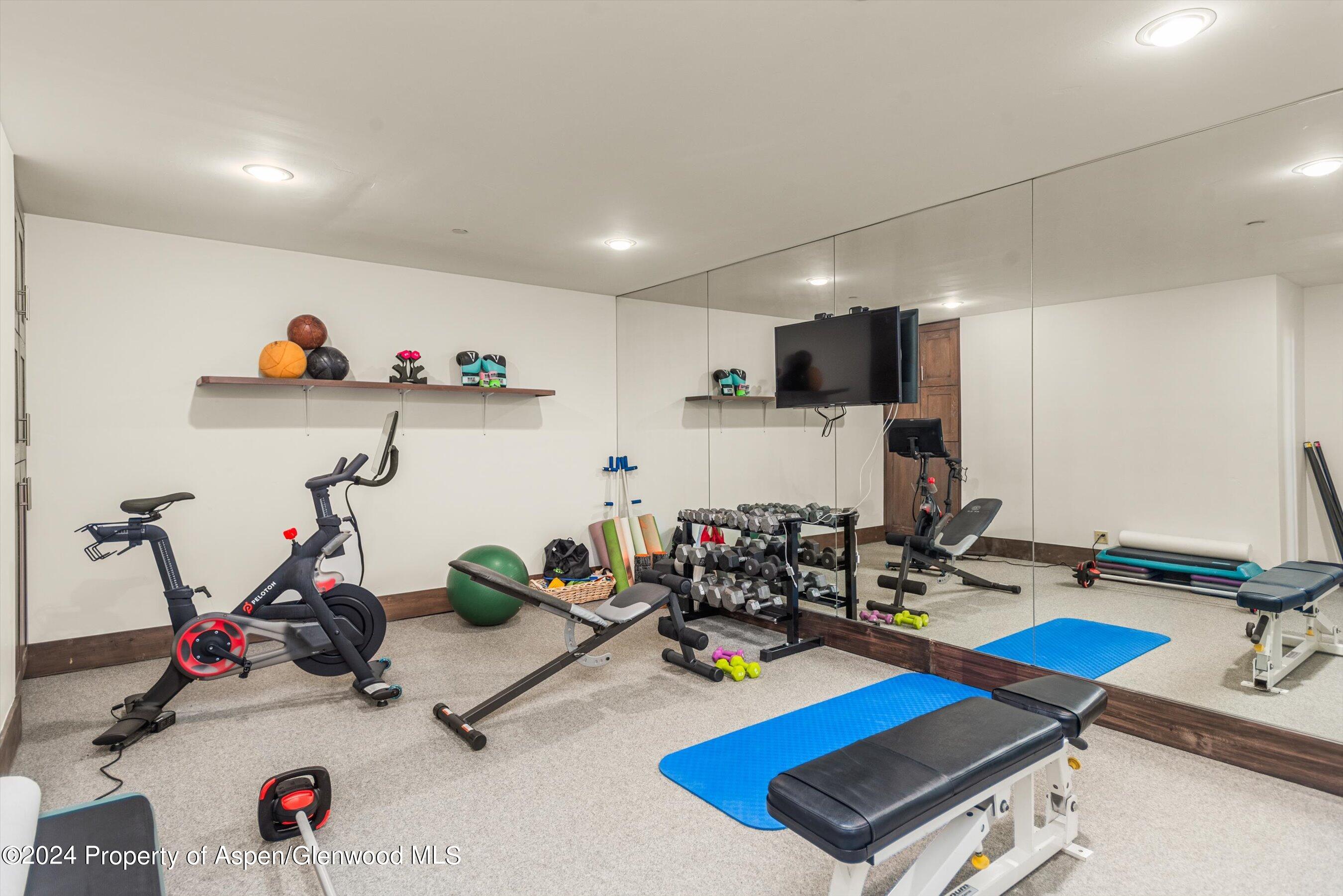 855 Moore Drive Aspen, CO 81611 - Photo 40 of 50 a view of a room with gym equipment