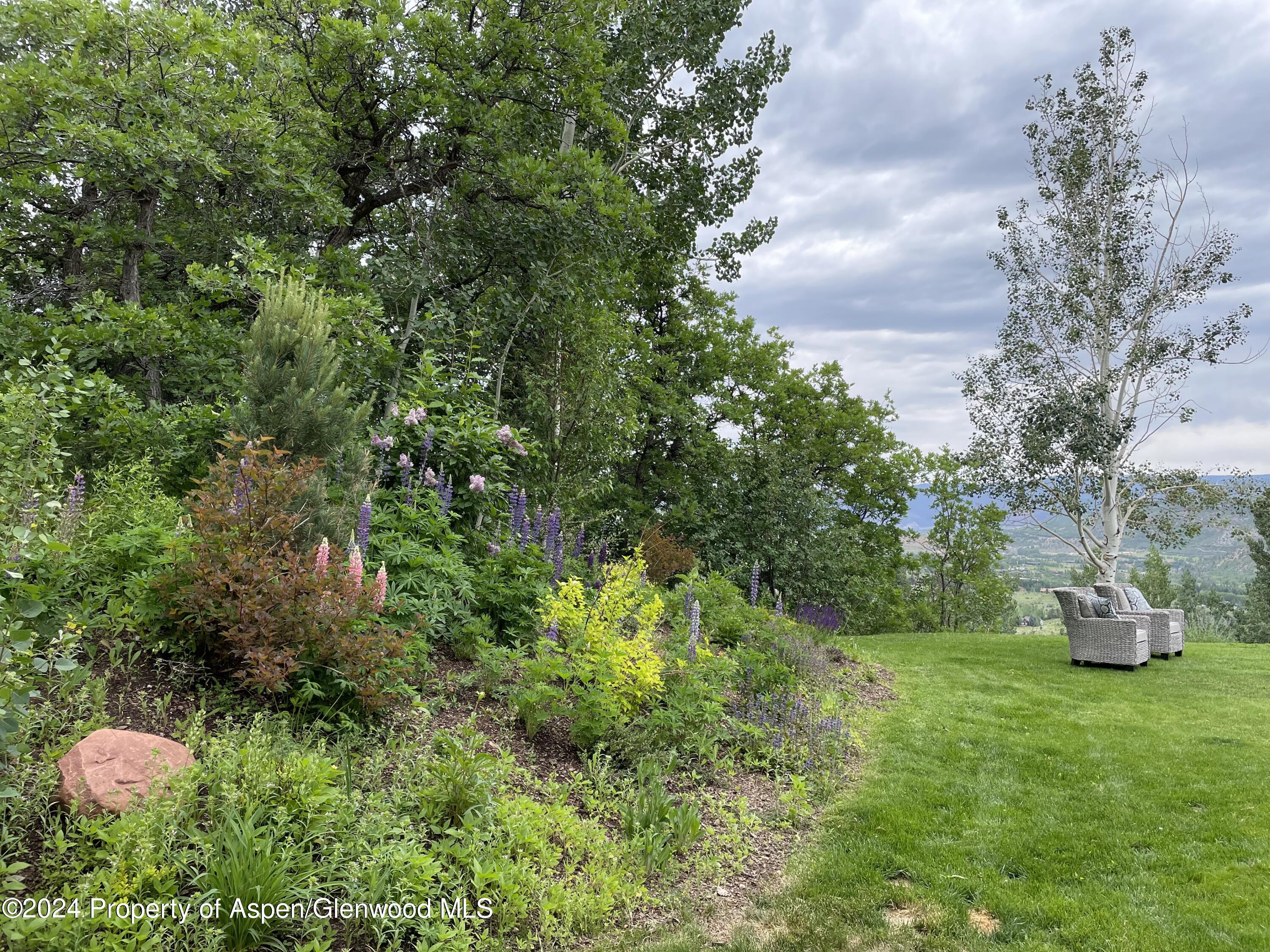 855 Moore Drive Aspen, CO 81611 - Photo 45 of 50 a backyard of a house with lots of green space