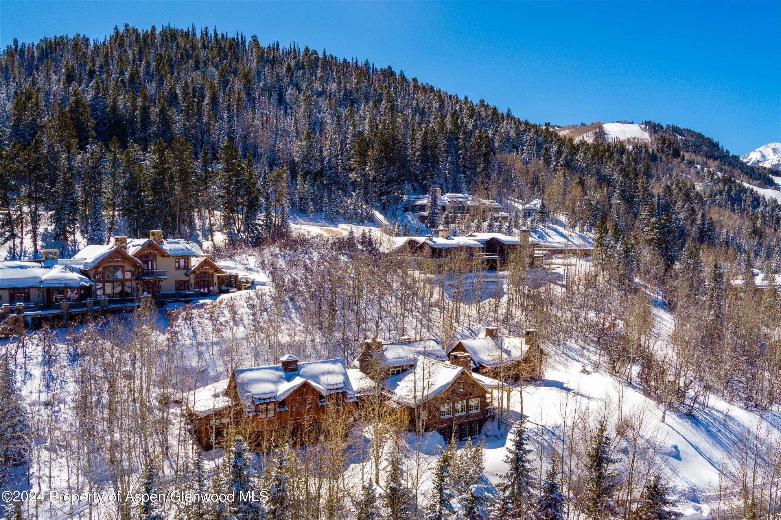855 Moore Drive Aspen, CO 81611 - Photo 49 of 50 a view of outdoor space with garden view