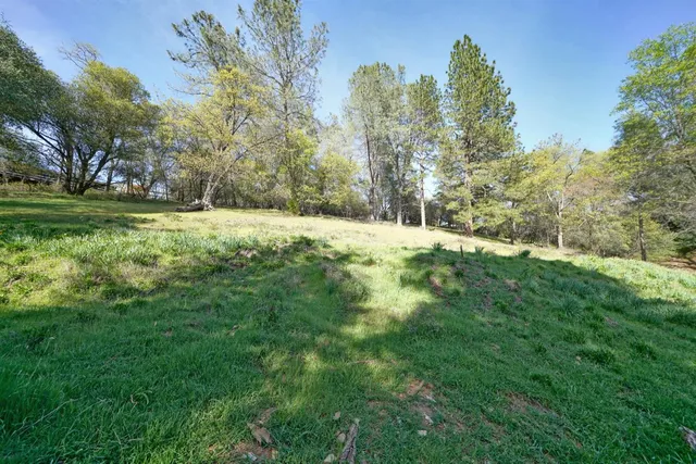 a big yard with lots of green space