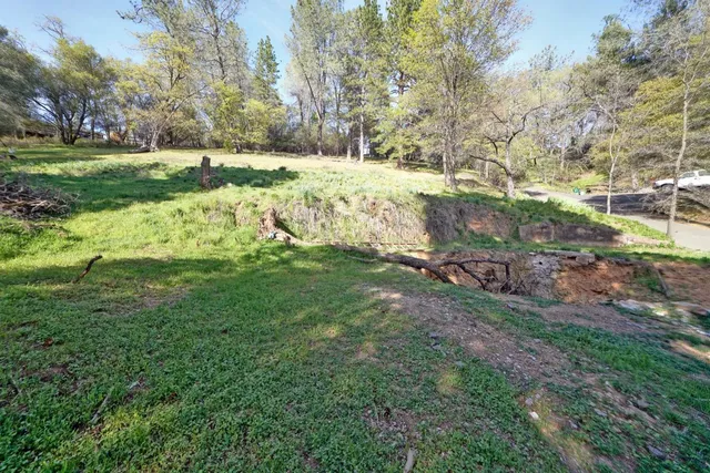 a view of a yard with a tree