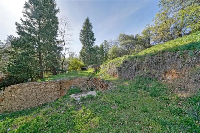 a view of a yard with a trees