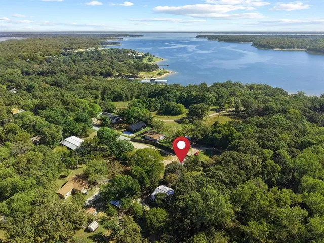 a view of a bunch of trees in a field