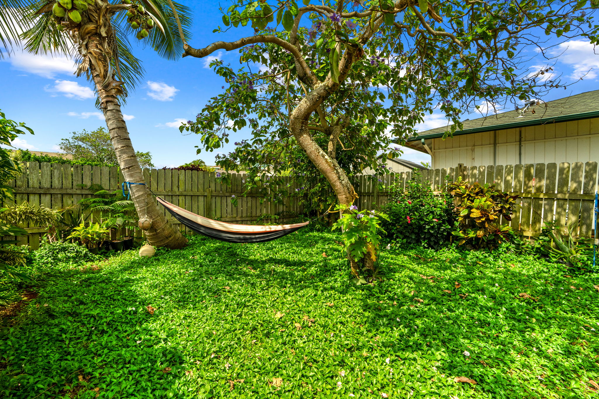 5366 Kumole Street Kapaa, HI 96746 - Photo 14 of 30 a backyard of a house with lots of green space