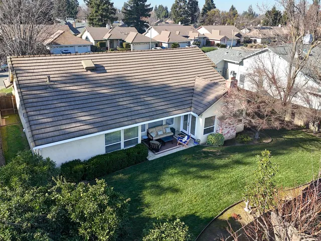 a view of a backyard with plants and large trees