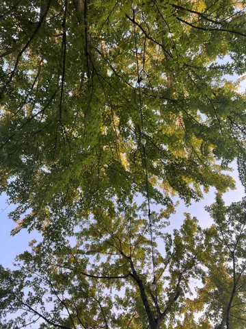 $28,000 | 15040 Lakeshore Boulevard, Brookville, IN 47012