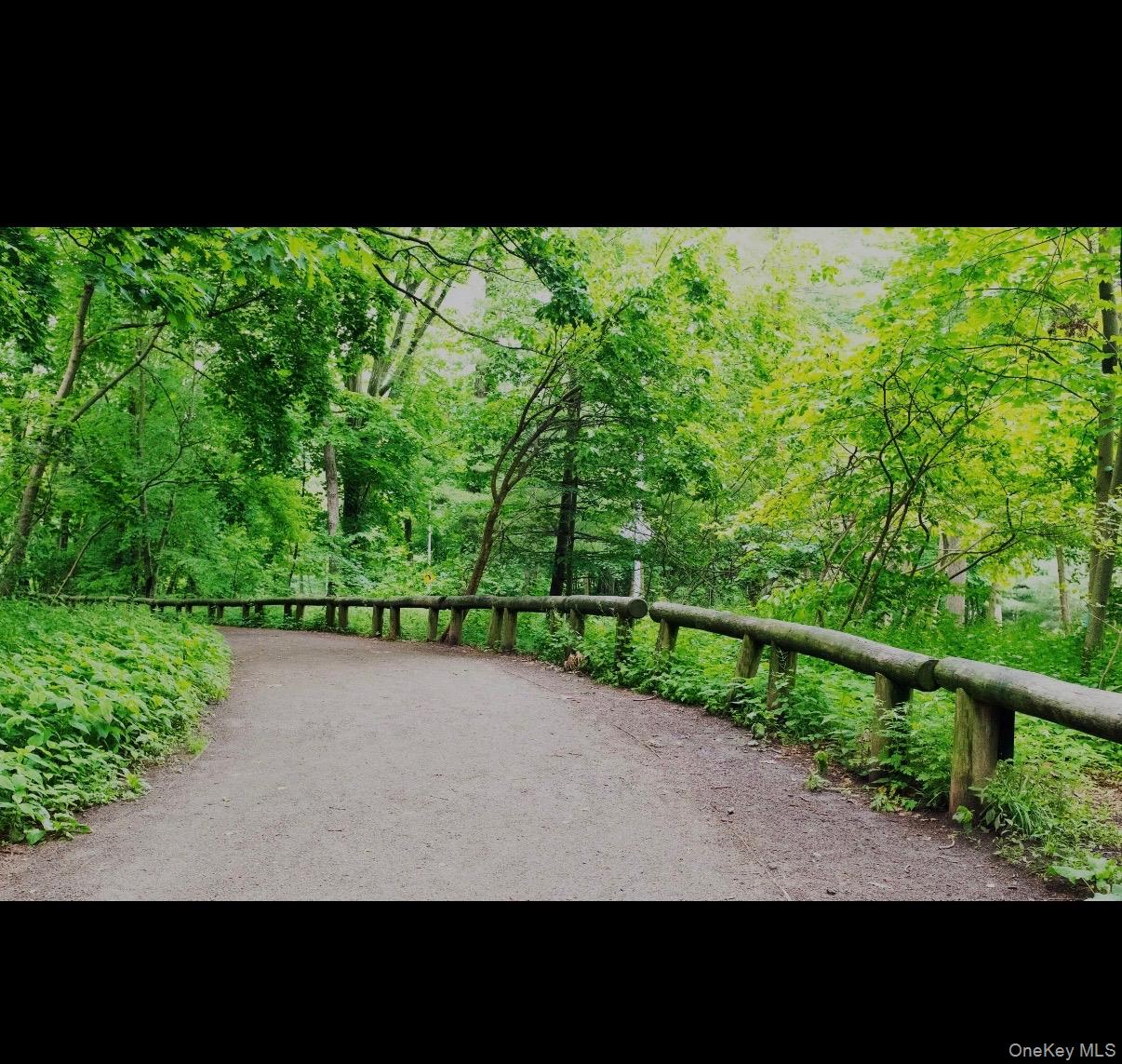 86-19 79th Street Queens, NY 11421 - Photo 18 of 19 a view of a garden