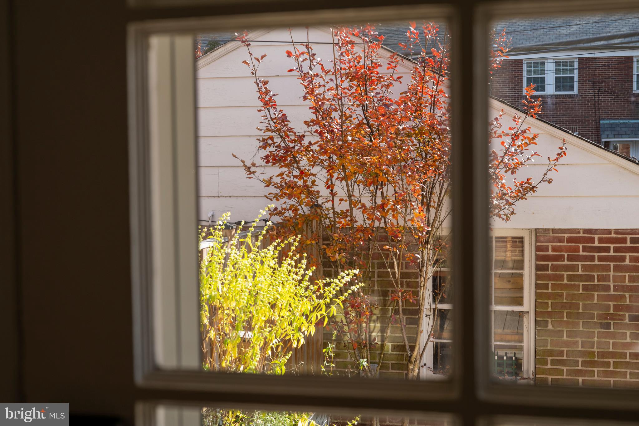 223 Regester Avenue Baltimore, MD 21212 - Photo 49 of 61