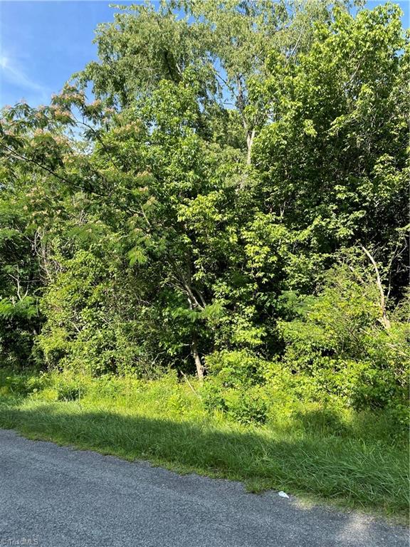 Lot 1 Garden Road Eden, NC 27288 - Photo 1 of 2 Gallery Image 1