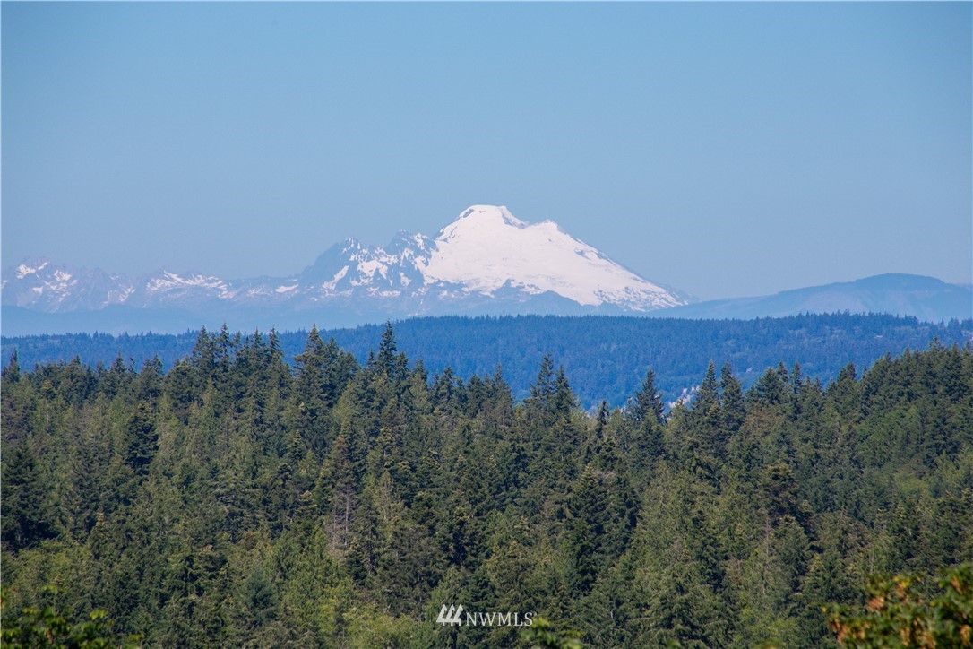 145 Mats View Terrace Road Port Ludlow, WA 98365 - Photo 8 of 39 Gallery Image 8