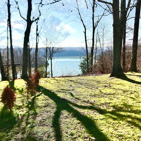 561 Eagles Bluff Road Monticello, KY 42633 - Photo 47 of 53 20220503225824976018000000-o
