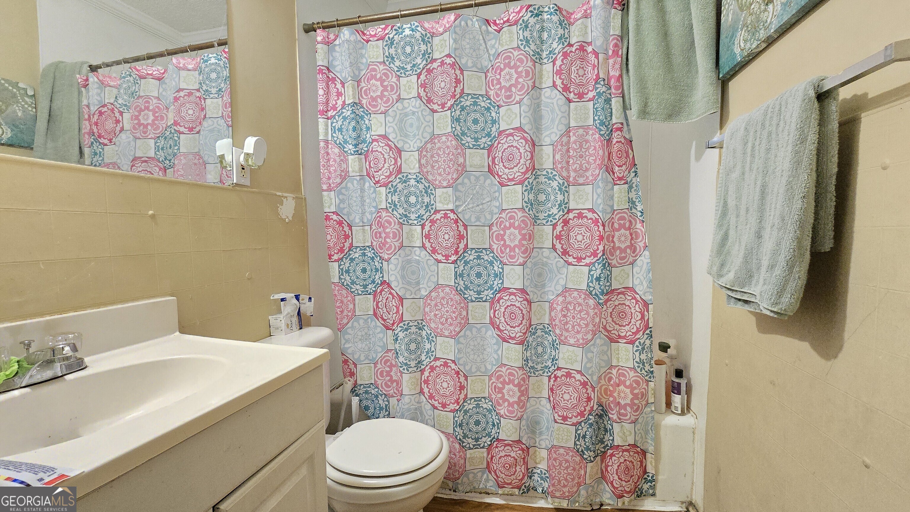 377 Dock Hyde Road Carrollton, GA 30116 - Photo 12 of 31 a bathroom with a sink and toilet