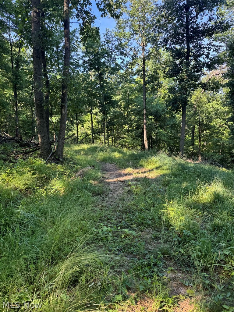 Stone Quarry Road Danville, OH 43014 - Photo 20 of 50