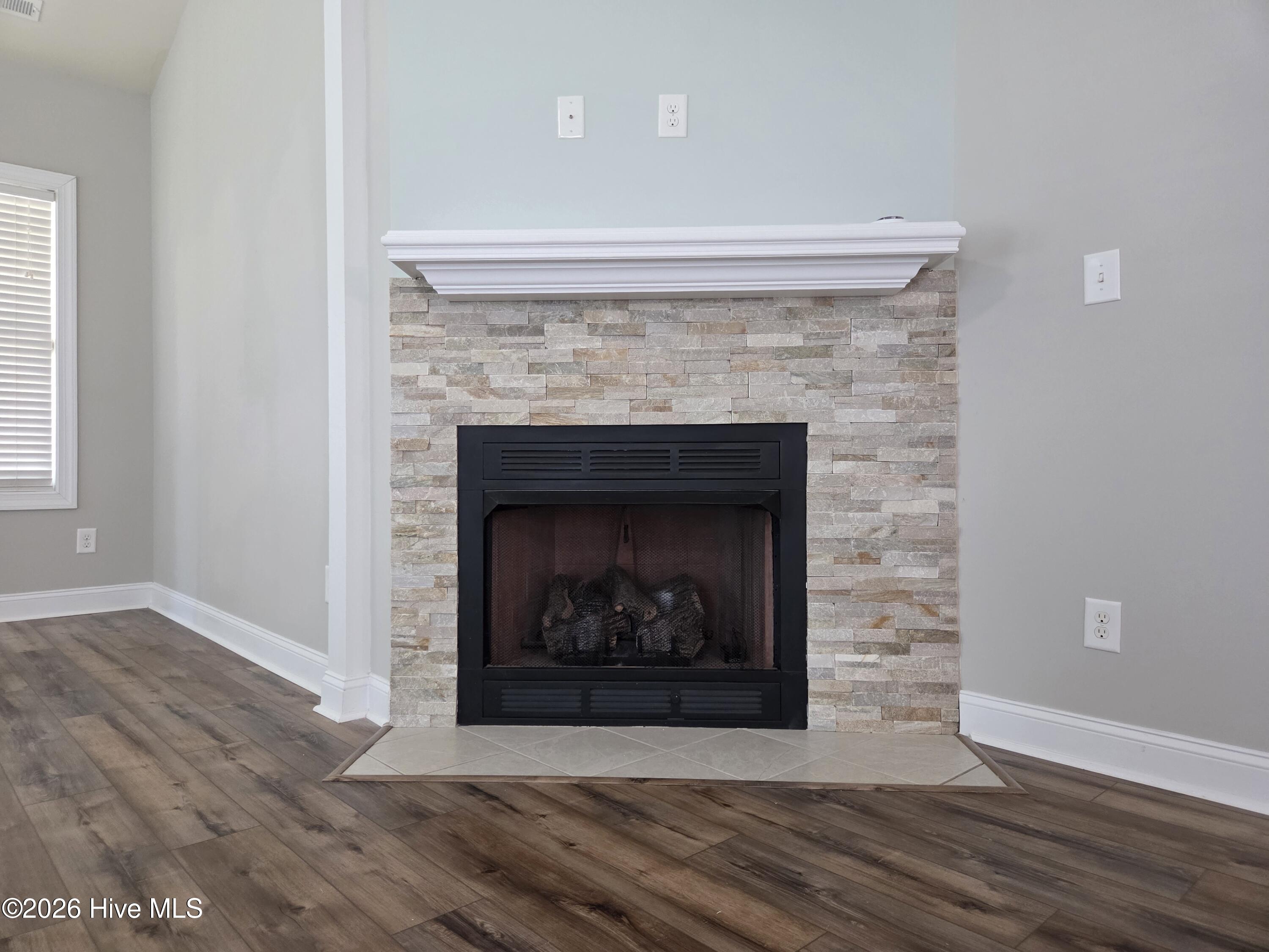 253 Channel Marker Loop Swansboro, NC 28584 - Photo 11 of 21 Fireplace