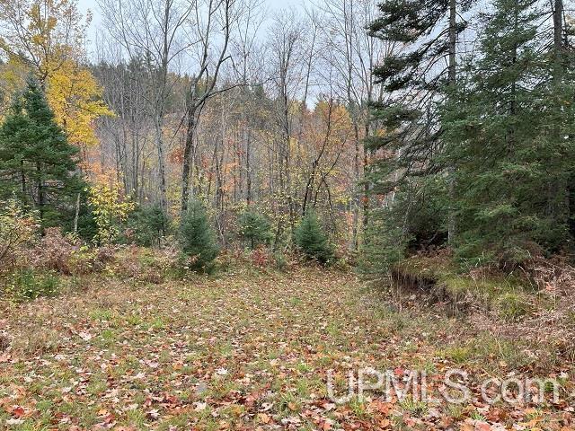 24380 Co Road Ishpeming, MI 49849 - Photo 48 of 92