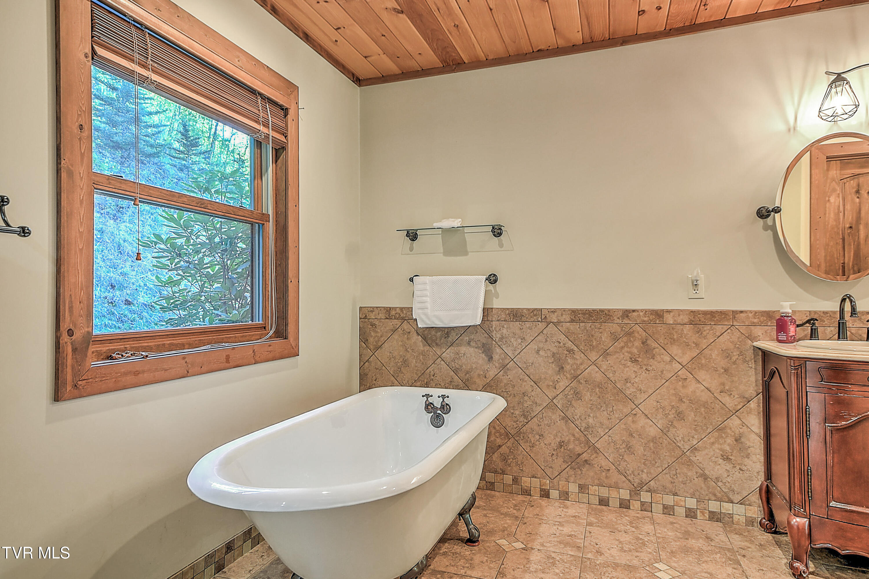 410 Eagle Ridge Road Roan Mountain, TN 37687 - Photo 35 of 97 410 Eagle Ridge HP-33