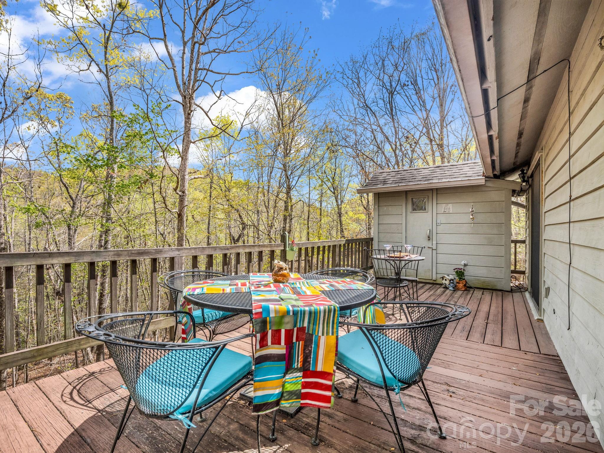 780 Rixhaven Drive Saluda, NC 28773 - Photo 29 of 36