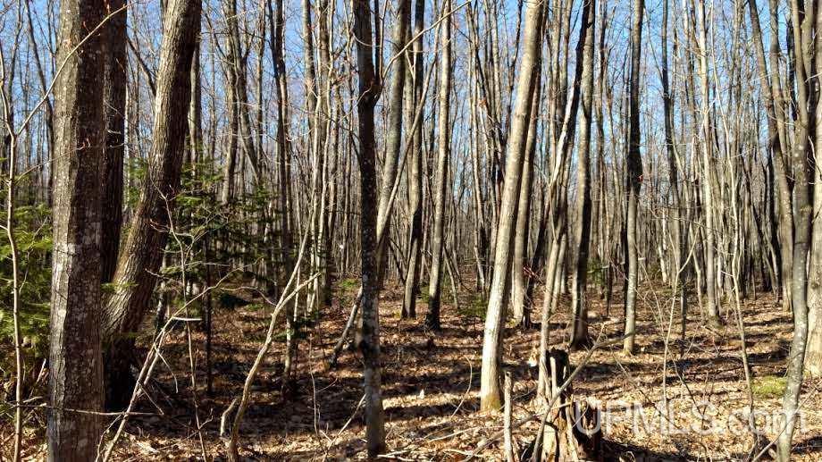 Tbd North Superior Road Atlantic Mine, MI 49905 - Photo 3 of 14 Gallery Image 3